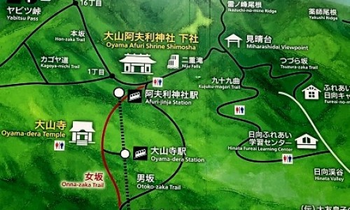 中药外用药有哪些-中药外用药市场潜力巨大专区_外用中药的在临床中应用的优势是专区_中药外用药市场潜力巨大网